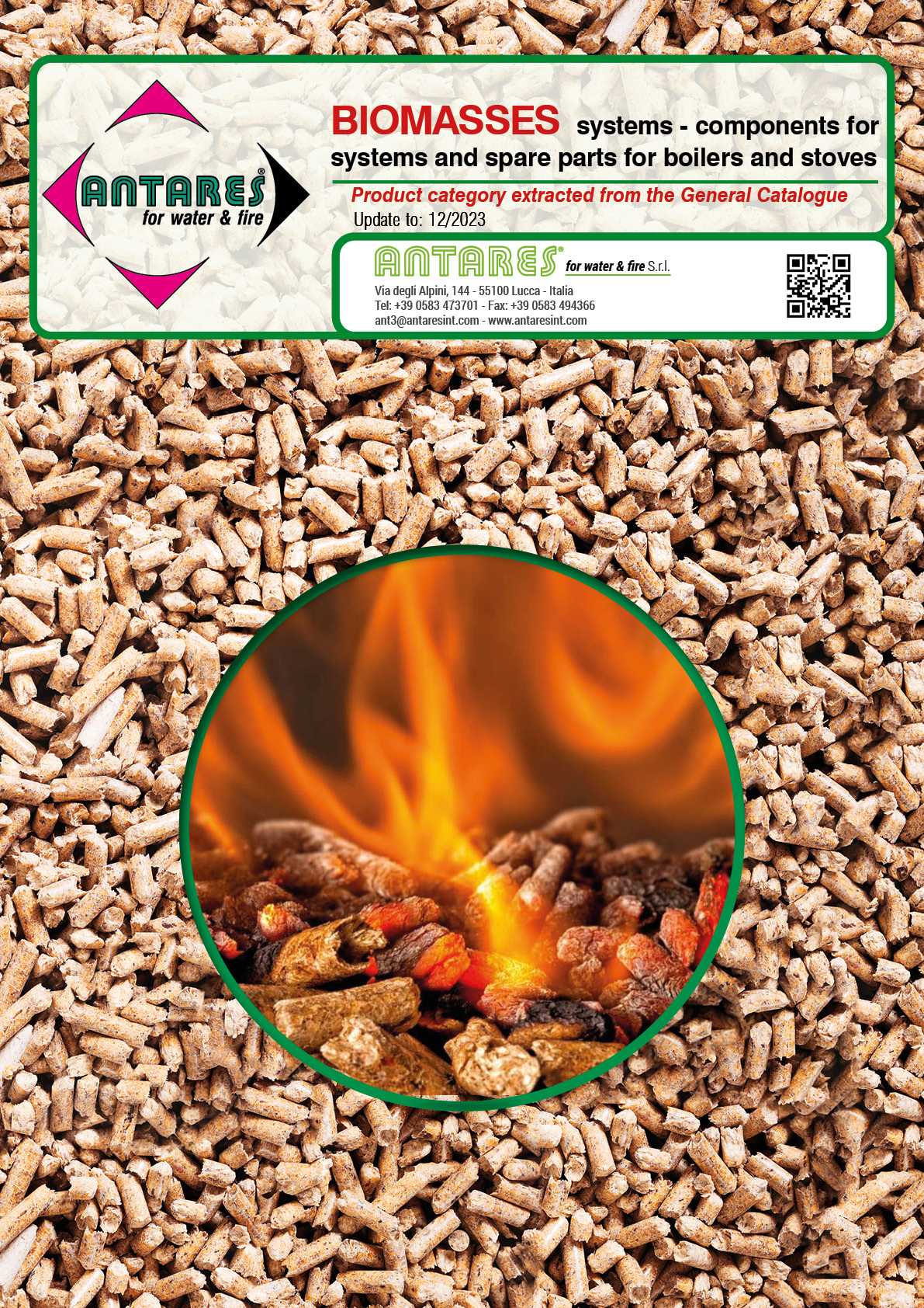 06_Biomasses_UK.pdf